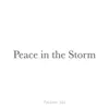 Dansmko - Peace in the Storm - EP